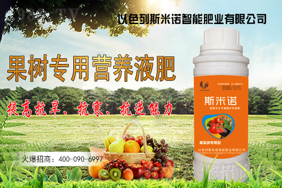 大豆價格持續(xù)“高漲”？今日東北大豆報價一覽！