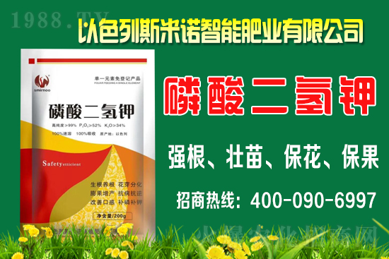 ����ʲô�r(sh��)�gʩ�������ٵ�ʩ�ʕr(sh��)�g��������B��