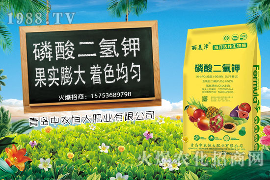 今日小麥價(jià)格上漲,后期是否會持續(xù)上漲?