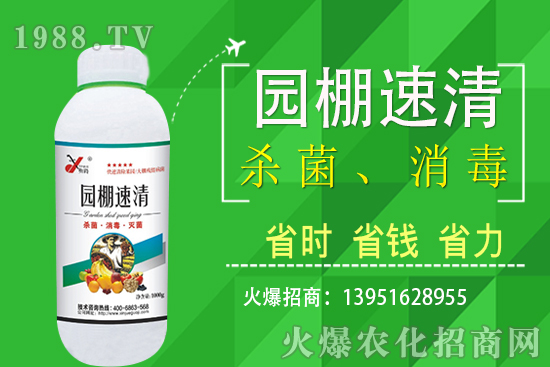 2020年11月5日局部花生價格報道！