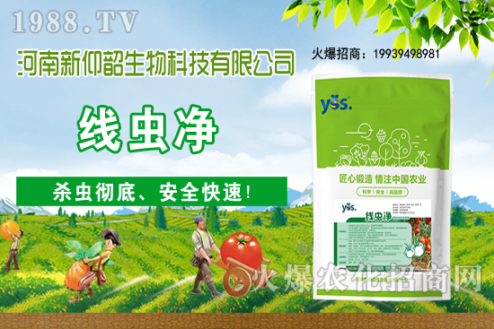 ����ֲ��ԓ��ô��ˮ������ֲ�ˮҪע����Щ���}����