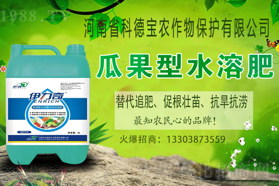 江西贛南臍橙什么時候成熟上市？如何挑選贛南臍橙？