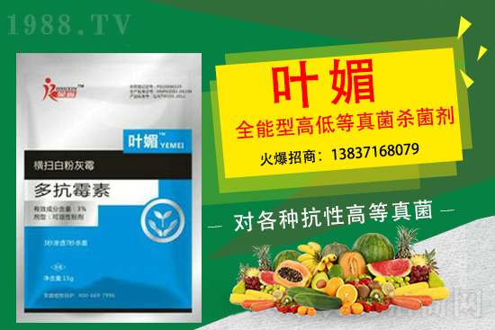 辣椒病害嚴(yán)重太難纏,如何輕松解決?