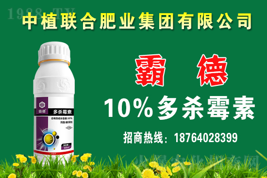 今日小麥價(jià)格行情如何？春節(jié)前小麥價(jià)格還會(huì)上漲嗎？