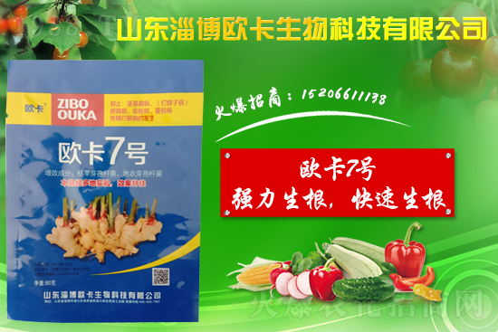 大姜爛脖子病是什么??？大姜爛脖子病用什么藥好防治