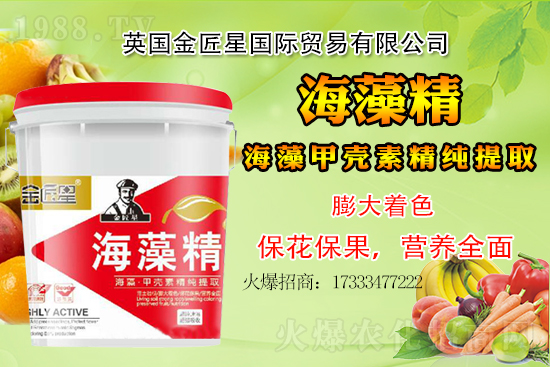 小麥價格還會出現(xiàn)大漲嗎？小麥行情總結(jié)！