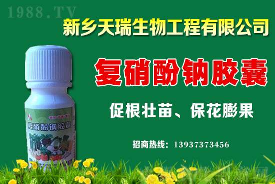 大蔥一畝地能產(chǎn)多少斤？大蔥價格為何上漲？