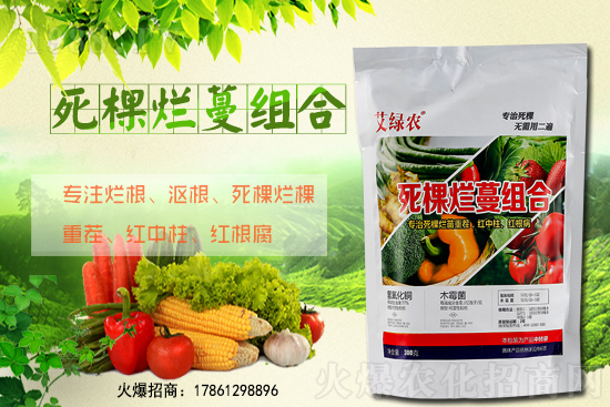 柑橘施肥在什么時(shí)間適宜?柑橘樹冬季該怎么管理?