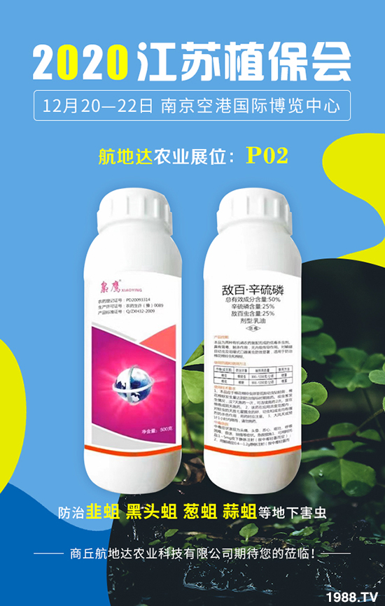 2020���Kֲ�����������_�r�I(y��)�������࣬�@ϲ���������u�B�B��