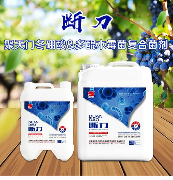 聚天門(mén)冬硼酸多醌木霉菌復(fù)合菌劑-斷刀-美島之星_01