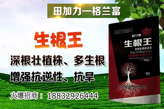 2020-12-24���������ؼZʳ�r(ji��)������