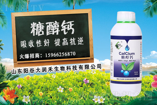 作物補(bǔ)鈣為什么要選擇糖醇鈣？糖醇鈣使用時期及使用效果！