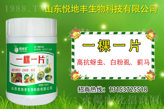 高抗蚜蟲、白粉虱、薊馬用什么打？一蟲不留？