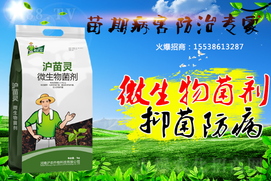 作物苗期病害“致命傷”,基本的預(yù)防方法您會(huì)了嗎?