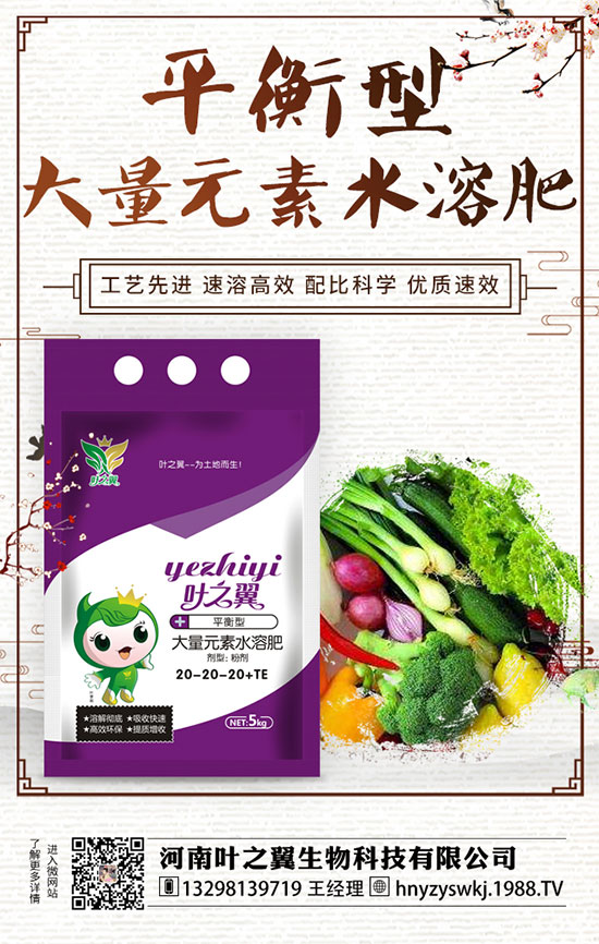 牡丹什么時(shí)候開花？如何延長牡丹開花時(shí)間？