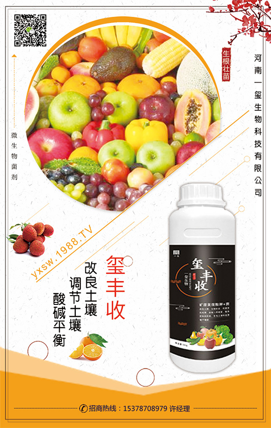 空心菜什么時間栽培？空心菜的栽培要點(diǎn)！