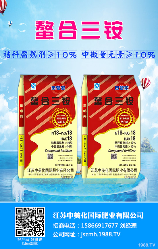 生菜水培的好處有哪些？生菜水培管理方法！