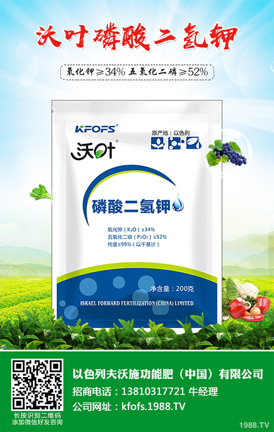 韭菜育苗需要移栽嗎？春季韭菜育苗移栽的注意事項(xiàng)