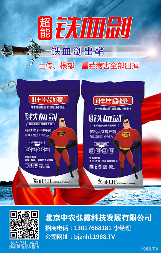     溫室番茄白粉虱的危害，溫室番茄白粉虱怎樣防治？