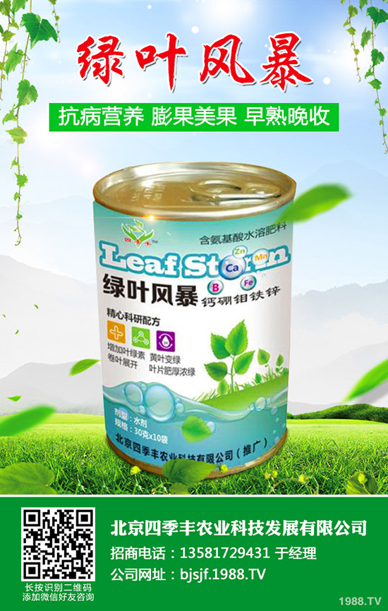 辣椒白粉病為何難防治？辣椒白粉病發(fā)病原因及防治！