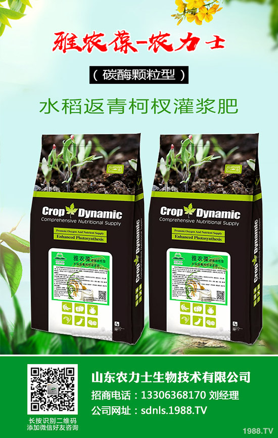     原料和成本持續(xù)上漲，復(fù)合肥貨緊價(jià)揚(yáng)！最新行情走勢分析2020-3-17！