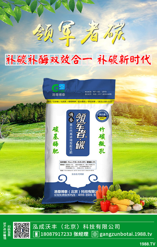 家中該如何養(yǎng)殖馬蹄蓮?養(yǎng)殖方法要點,花友必看!