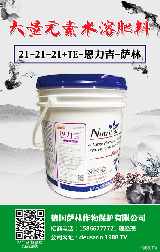 辣椒根腐病有治嗎？辣椒根腐病發(fā)病規(guī)律及防治措施！