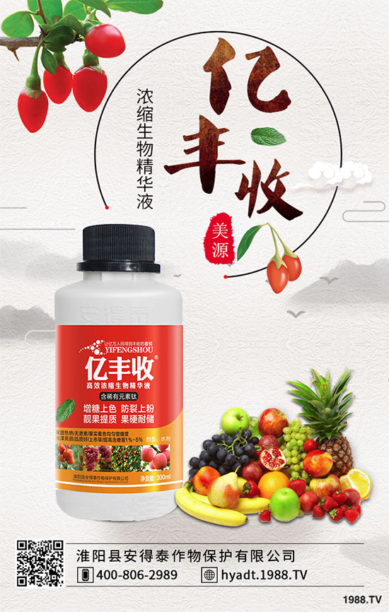 生姜高產(chǎn)栽培措施,生姜病蟲害防治!