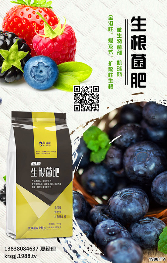 長(zhǎng)壽花盆栽施肥要注意哪些問(wèn)題，長(zhǎng)壽花盆栽施肥要點(diǎn)！