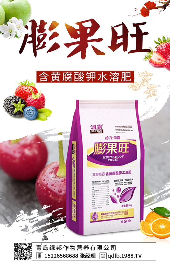 菜菔子有哪些神奇功效？萊菔子的功效作用及食用禁忌