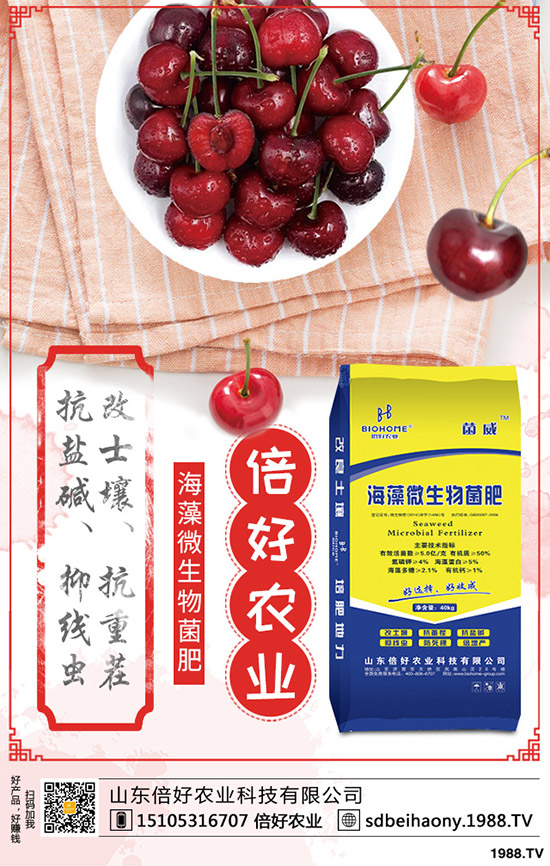     天天跌，這一次，尿素價格還能穩(wěn)住嗎？2020-3-26各地最新報價是多少？