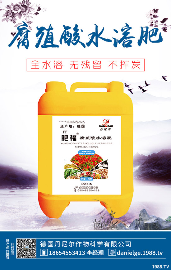 生菜怎么快速催芽？生菜催芽后管理方法！