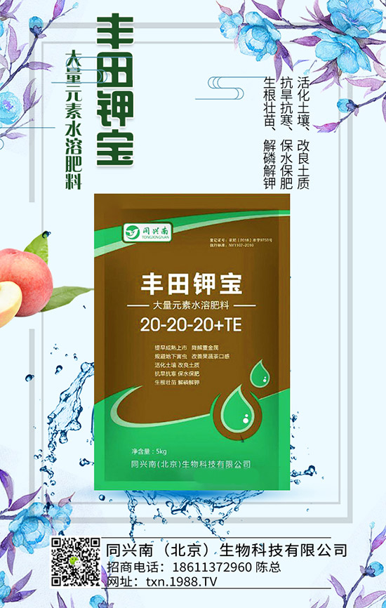 豌豆什么時(shí)候種,豌豆種植時(shí)間及種植要點(diǎn)!