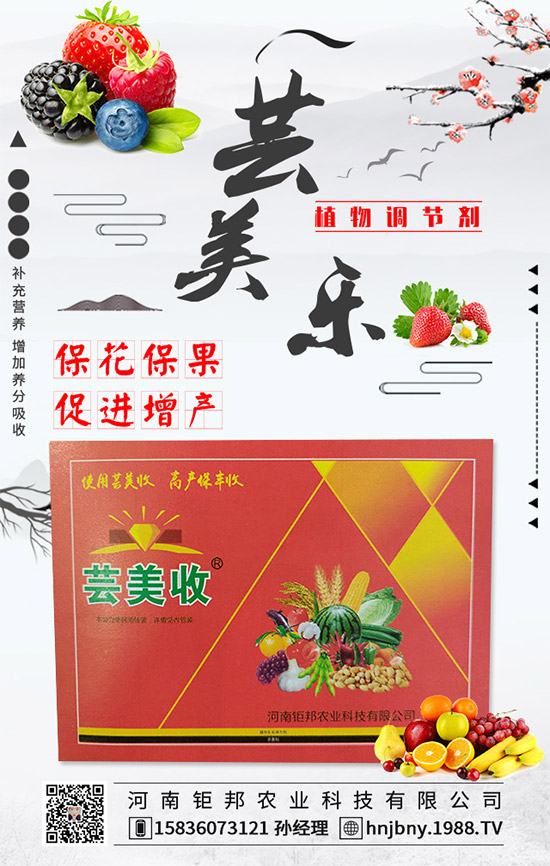 花生白絹病有什么危害？花生白絹病的防治措施！