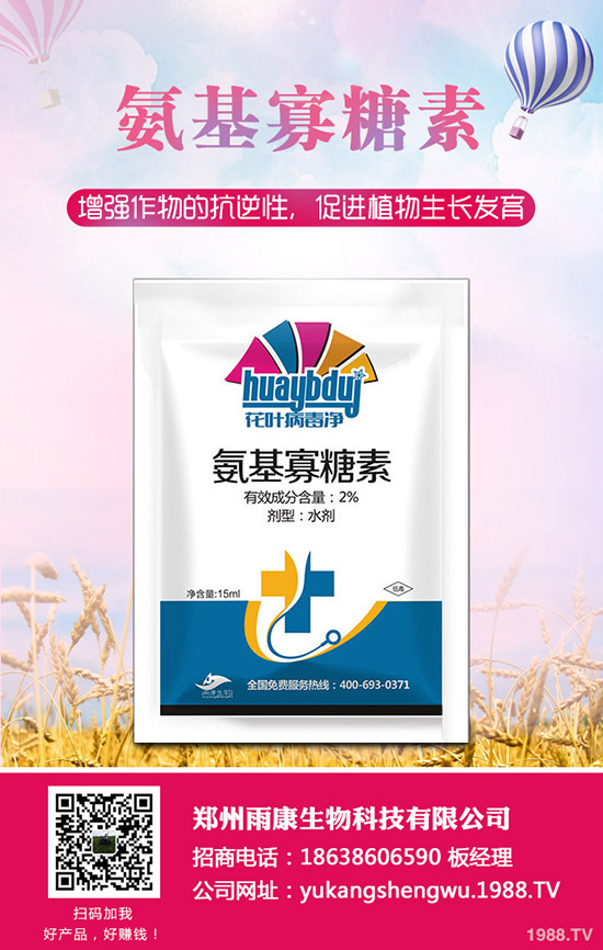 番茄發(fā)生肥害怎么辦?番茄肥害怎么快速恢復(fù)?