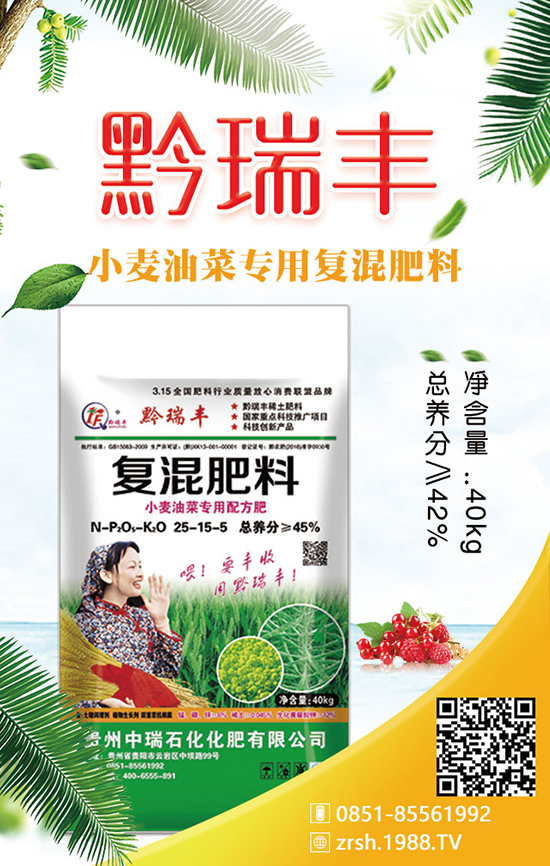 如何種植春季白菜？科學(xué)方法有哪些？