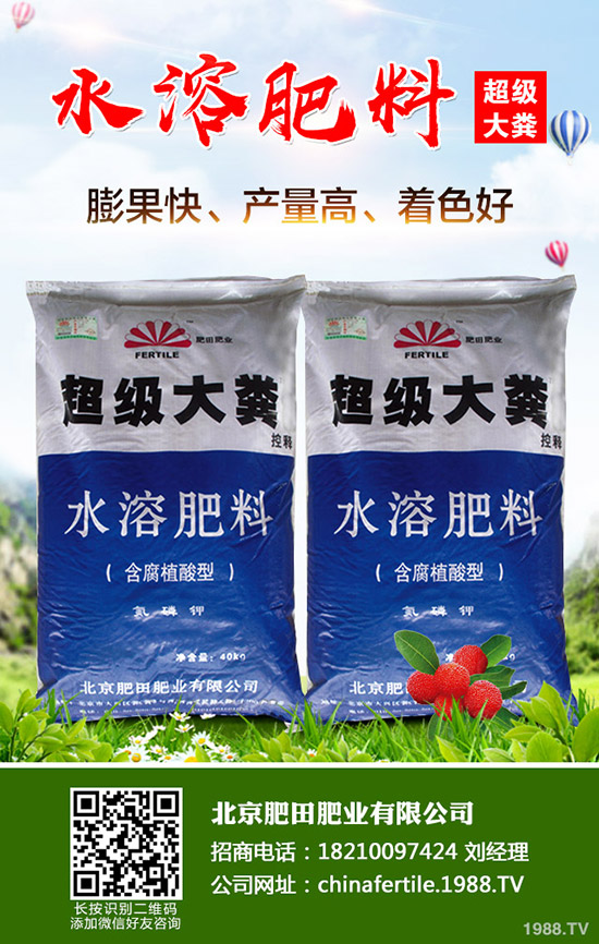 葡萄春季管理到底要做些什么？春季葡萄管理技術(shù)！