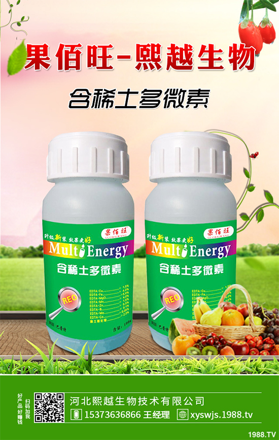 洋桔梗該如何種植？洋桔梗栽培種植技術(shù)