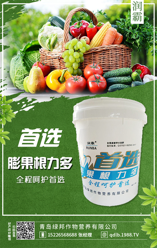 �f(w��n)�����U�����NҪ�c(di��n)���҃�(n��i)�f(w��n)����Nֲע�����(xi��ng)��