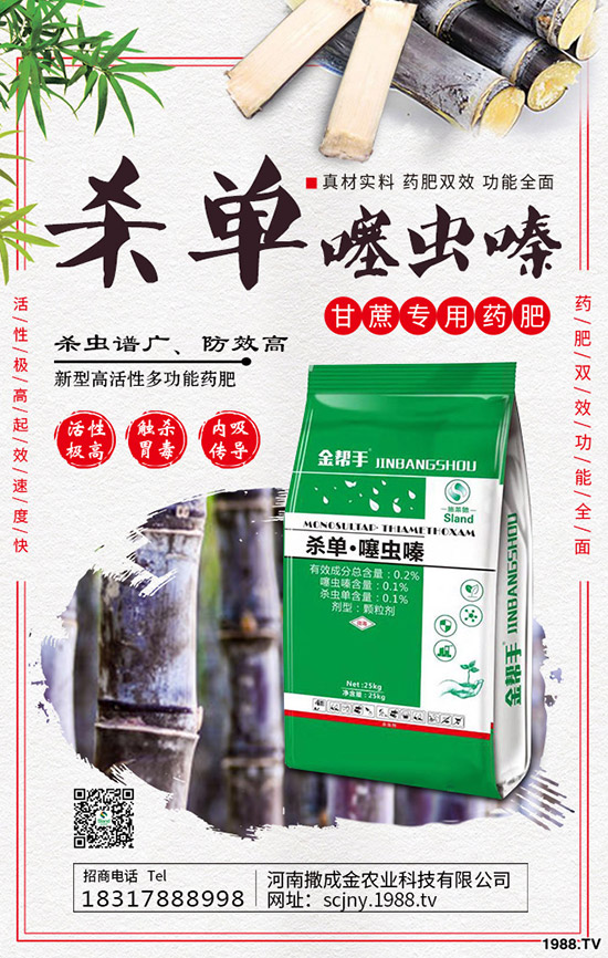 芹菜得了菌核病怎么辦？棚栽芹菜菌核病如何防治？