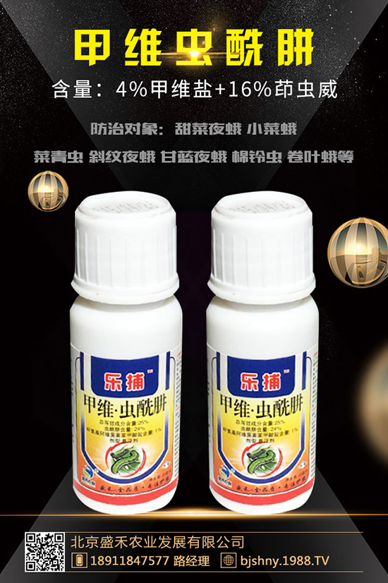 小麥紅蜘蛛的發(fā)生規(guī)律有哪些？小麥紅蜘蛛防治措施！