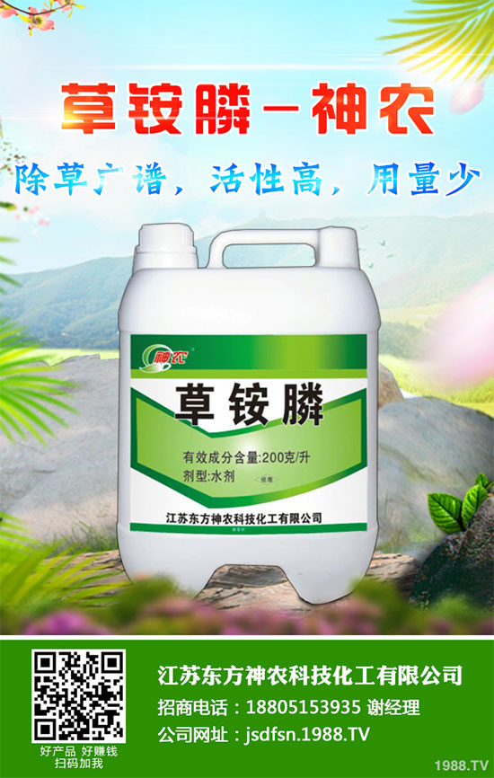 蒲公英種植如何實(shí)現(xiàn)高產(chǎn)?種植蒲公英效益如何呢?