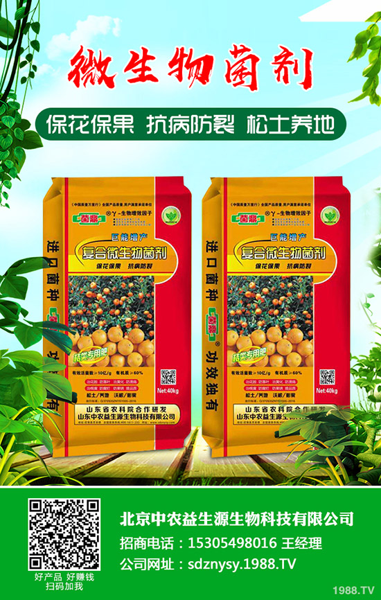     2020-4-15國(guó)產(chǎn)鉀方面相對(duì)穩(wěn)定！最新行情后市預(yù)測(cè)！