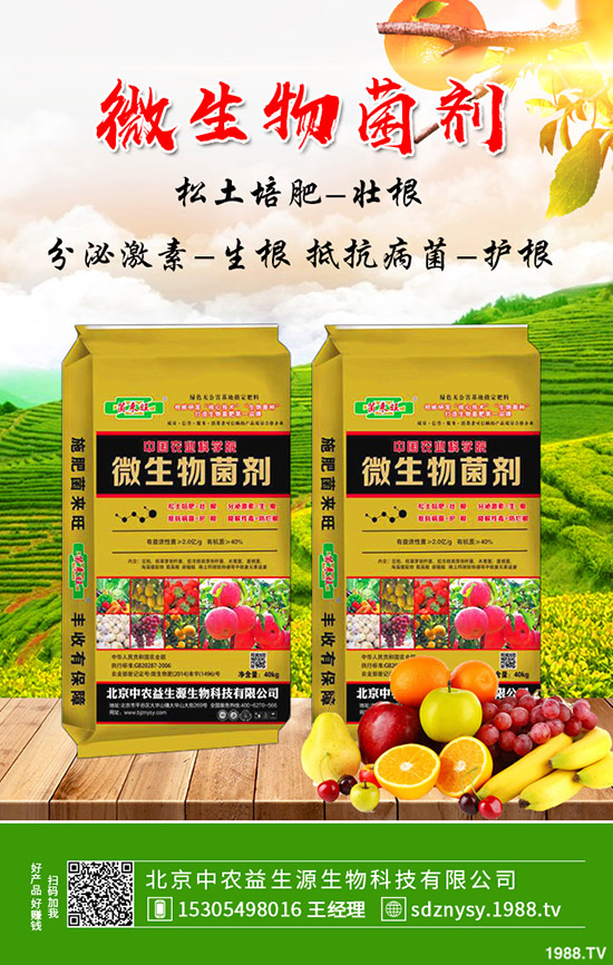     復(fù)合肥市場(chǎng)報(bào)價(jià)小幅下跌試探！最新復(fù)合肥價(jià)格行情分析2020-4-15！