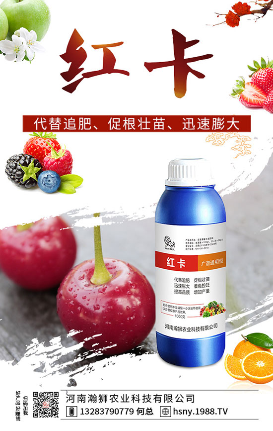 �����������ι�����������������Լ��g(sh��)Ҫ�c(di��n)