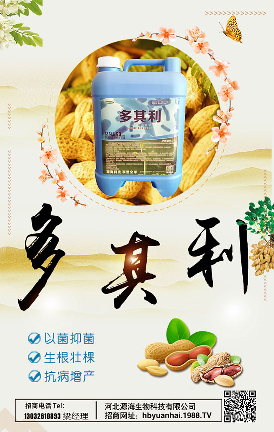 洋蔥什么時(shí)間種植好？洋蔥種植想高產(chǎn)怎么種植？