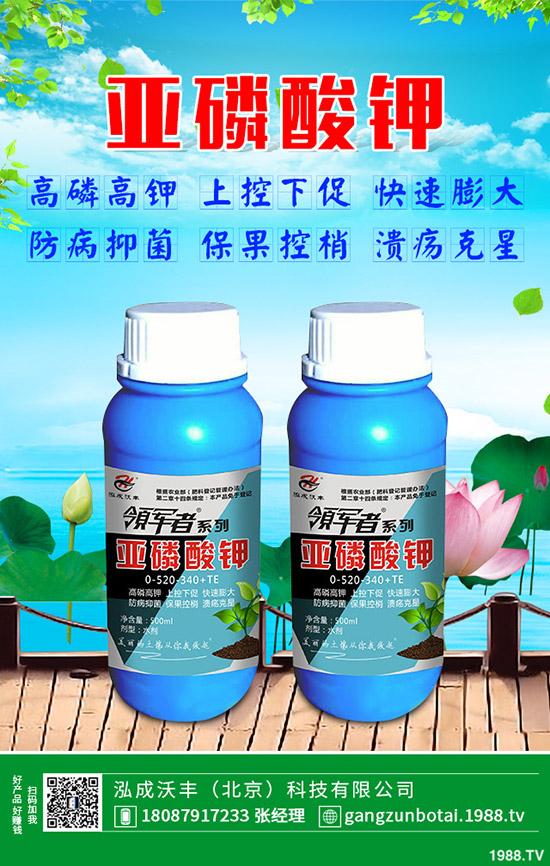 黃瓜彎瓜是什么原因呢？黃瓜彎瓜改善要訣！