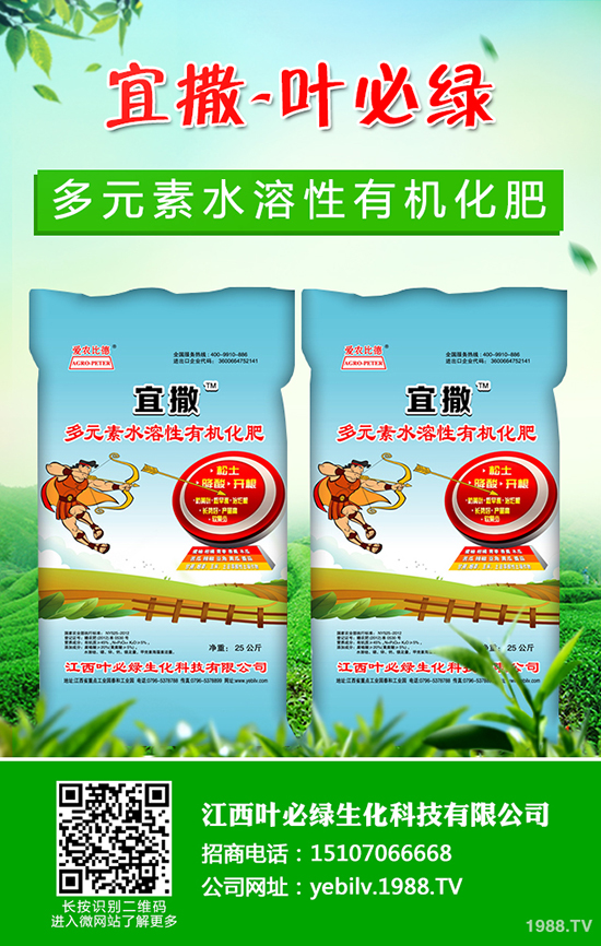 葫蘆種子怎么種 葫蘆種子催芽方法有哪些？