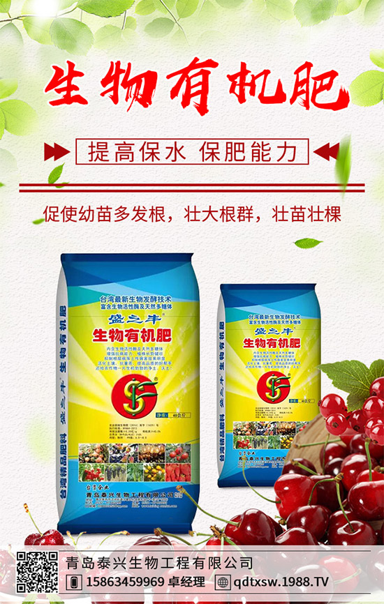 生姜該如何播種育苗？生姜高產(chǎn)栽培技術(shù)要點