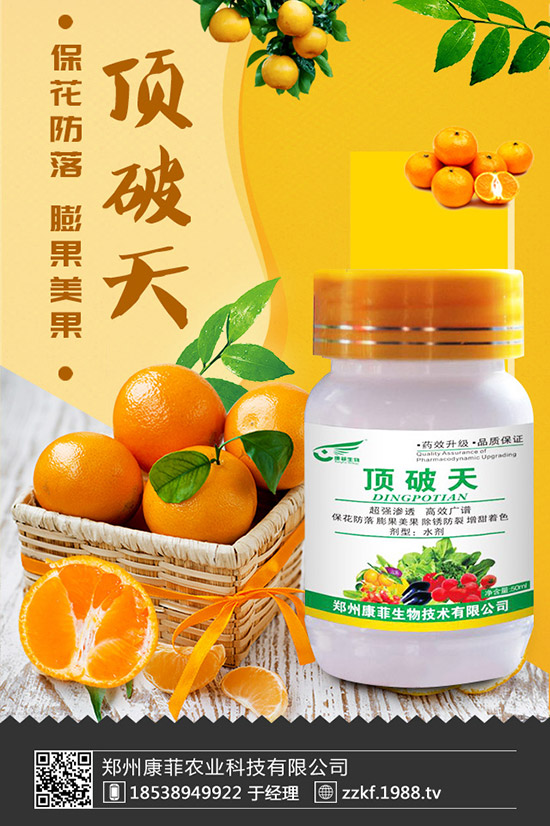 菜豆怎樣施肥才能高產(chǎn)？菜豆需肥特點與施肥技術(shù)！